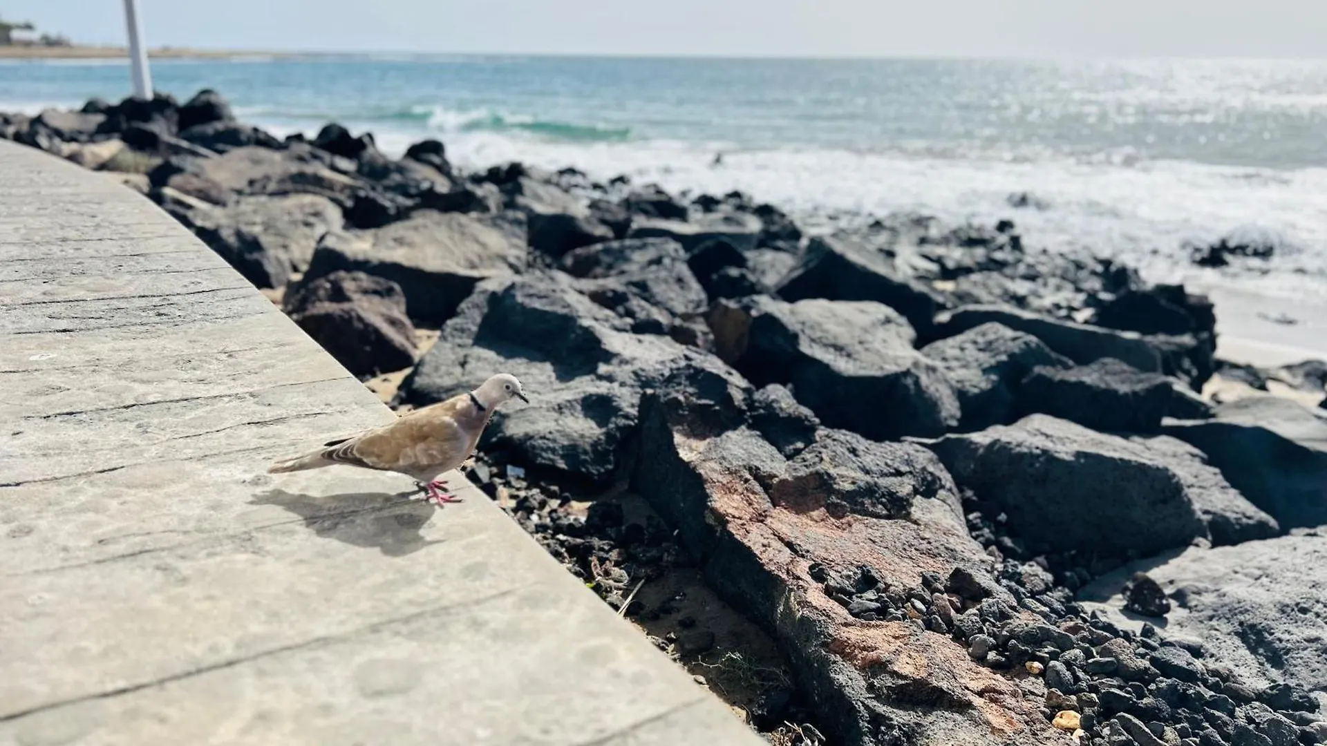 -Montorian Apartments -Lanzarote Tías